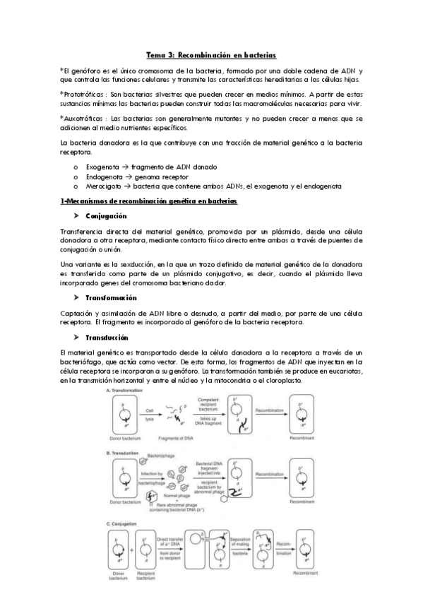 Miniatura del documento 3-recombinacion-bacterias.pdf