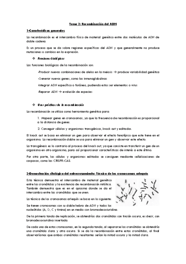 Miniatura del documento 2-recombinacion-ADN.pdf