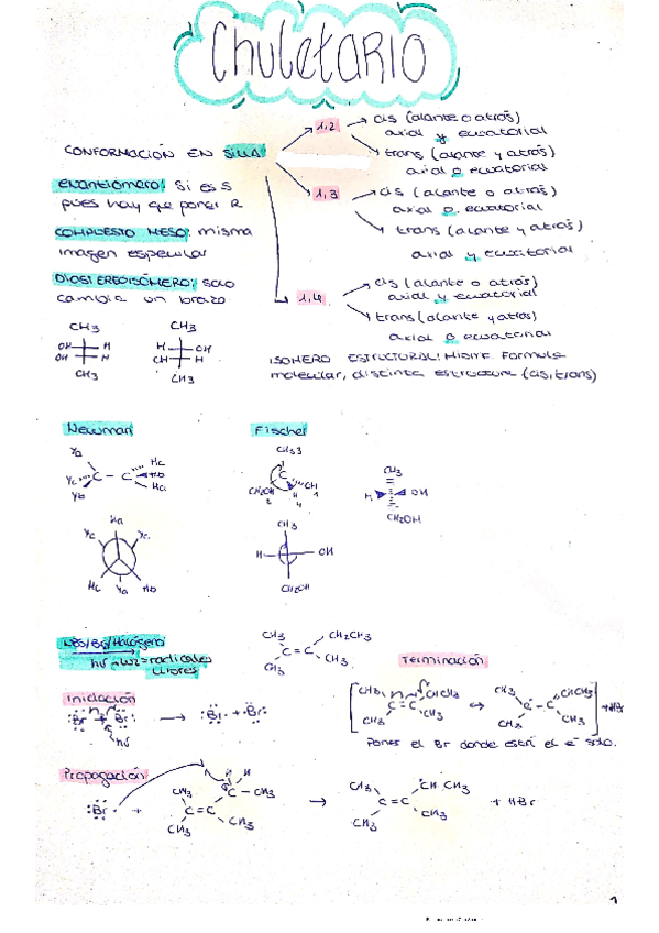 Miniatura del documento CHULETARIO.pdf