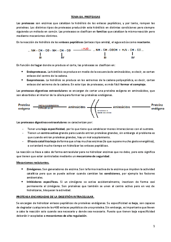 Miniatura del documento TEMA-8A-PROTEASAS.pdf