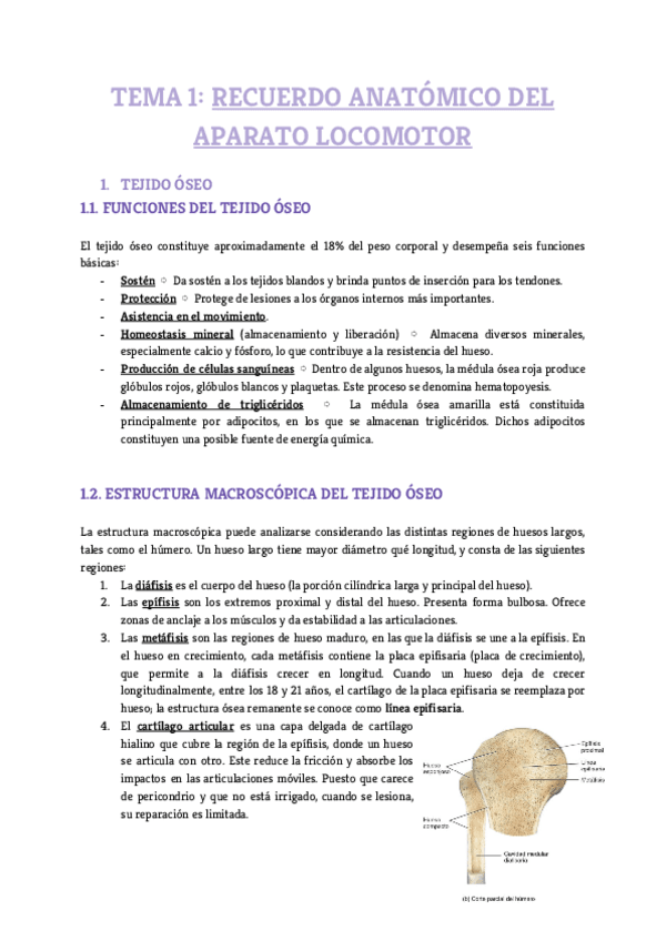 Miniatura del documento Tema-1.pdf