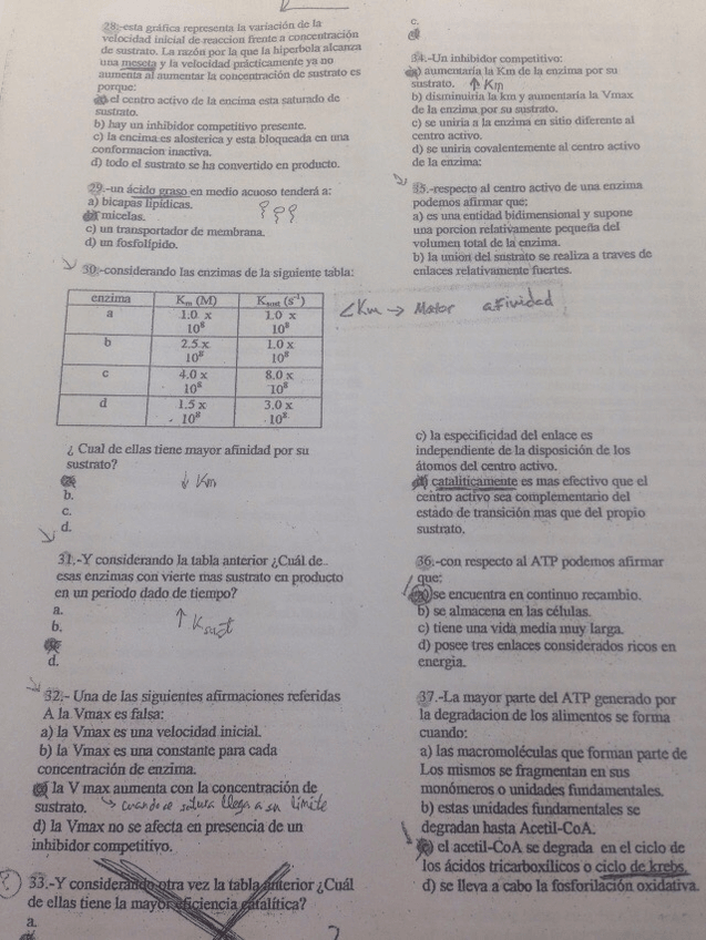 Miniatura del documento IMG_4784.jpg