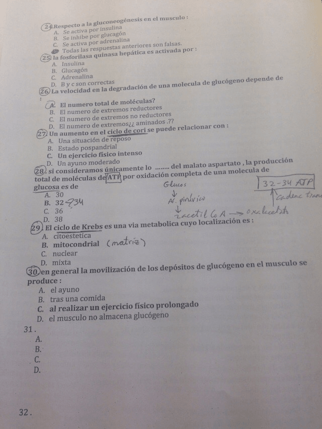 Miniatura del documento IMG_4785.jpg