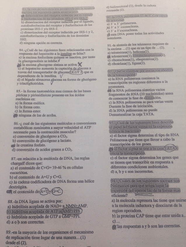 Miniatura del documento IMG_4787.jpg