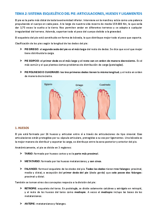 Miniatura del documento TEMA-ANATOMIA-ESPECIFICA-8-21.pdf