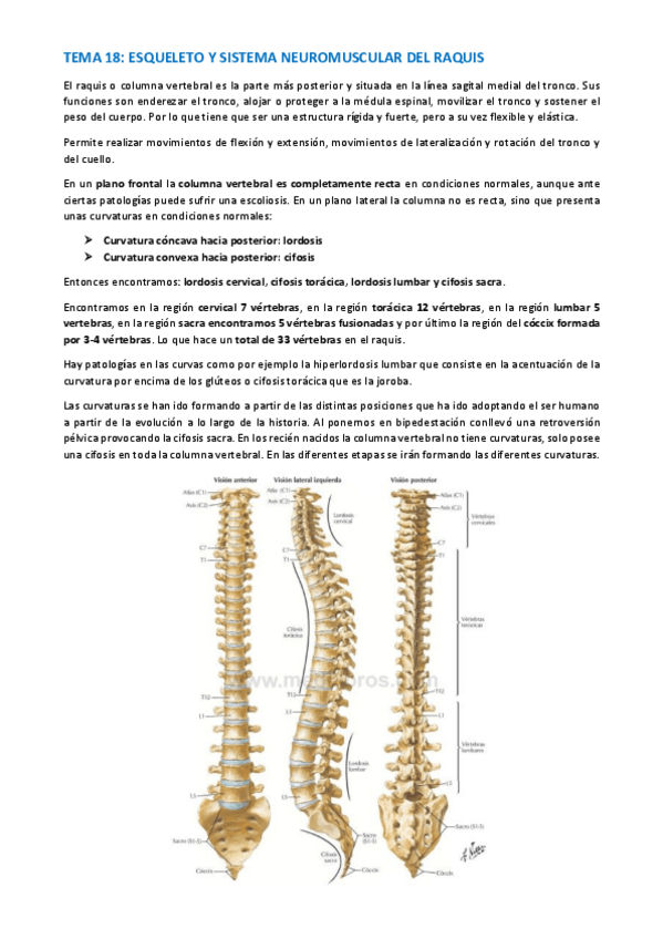 Miniatura del documento TEMA-ANATOMIA-ESPECIFICA-109-117.pdf