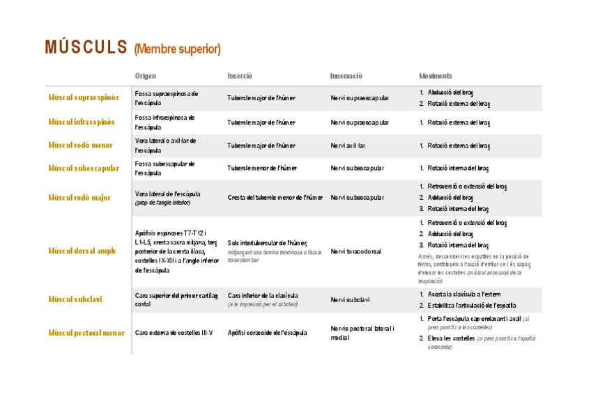 Miniatura del documento Taula de músculs.pdf
