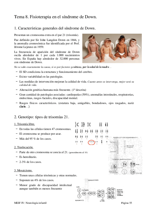 Miniatura del documento Tema-8.pdf