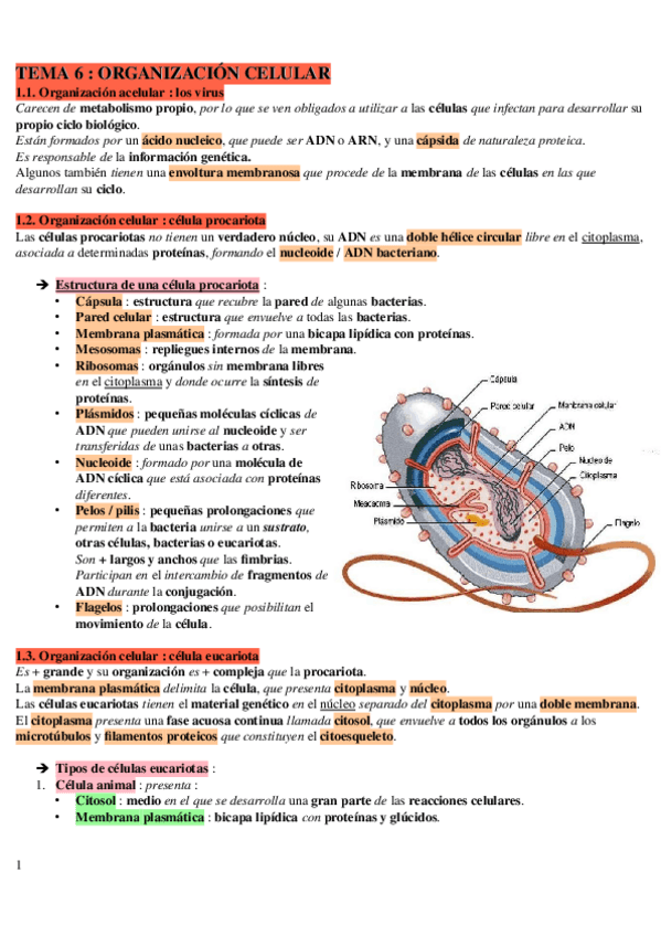 Miniatura del documento tema-6.odt