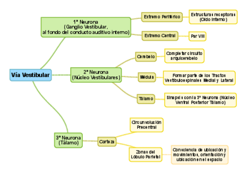 Miniatura del documento Via-Vestibular.pdf