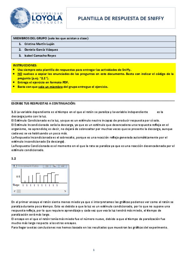 Miniatura del documento Sniffy-1.docx