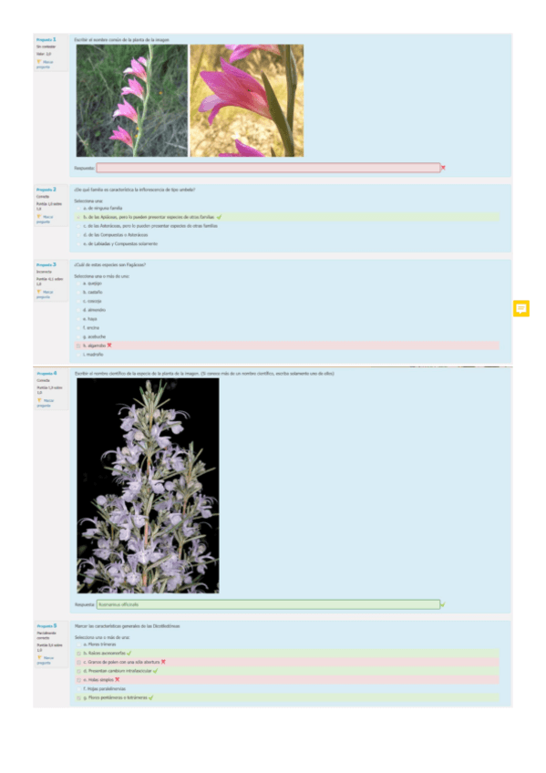 Miniatura del documento Cuestionario-Parcial-2.pdf