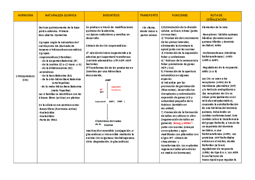 Miniatura del documento Citoquininas.pdf
