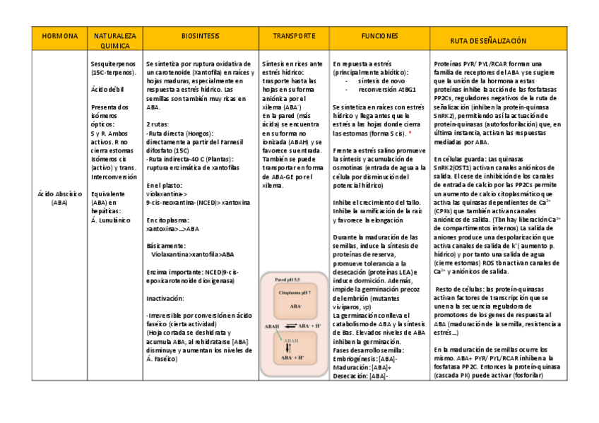 Miniatura del documento ABA.pdf
