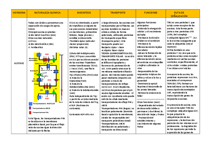 Miniatura del documento Auxinas.pdf