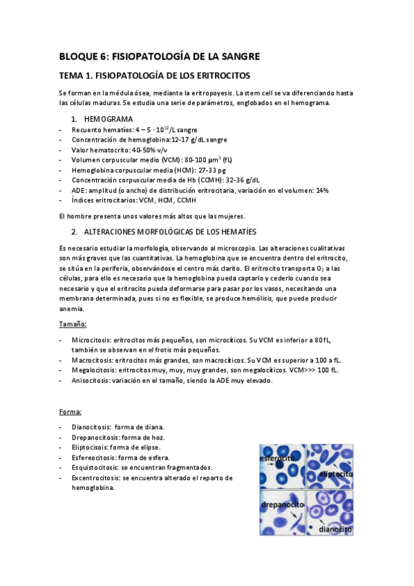 Miniatura del documento 6. SANGRE.pdf
