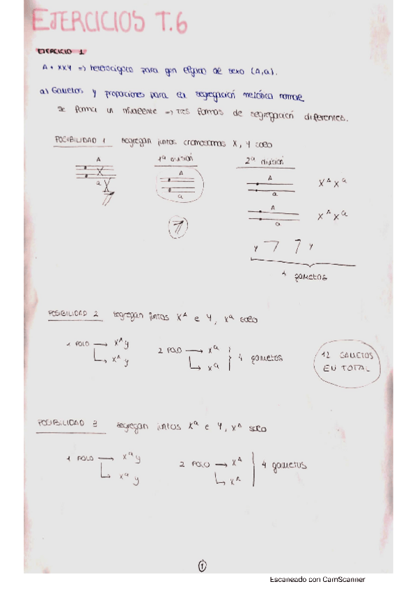 Miniatura del documento Genetica-6.pdf