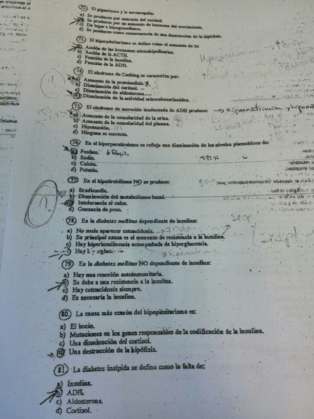 Miniatura del documento IMG_1518.JPG