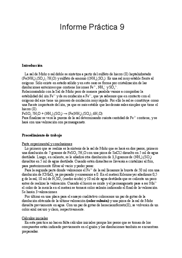 Miniatura del documento Informe-9-1.pdf