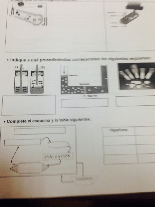 Miniatura del documento image.jpeg