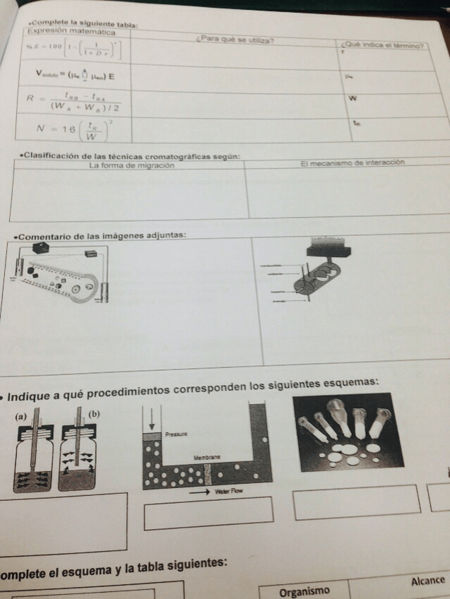 Miniatura del documento image.jpeg