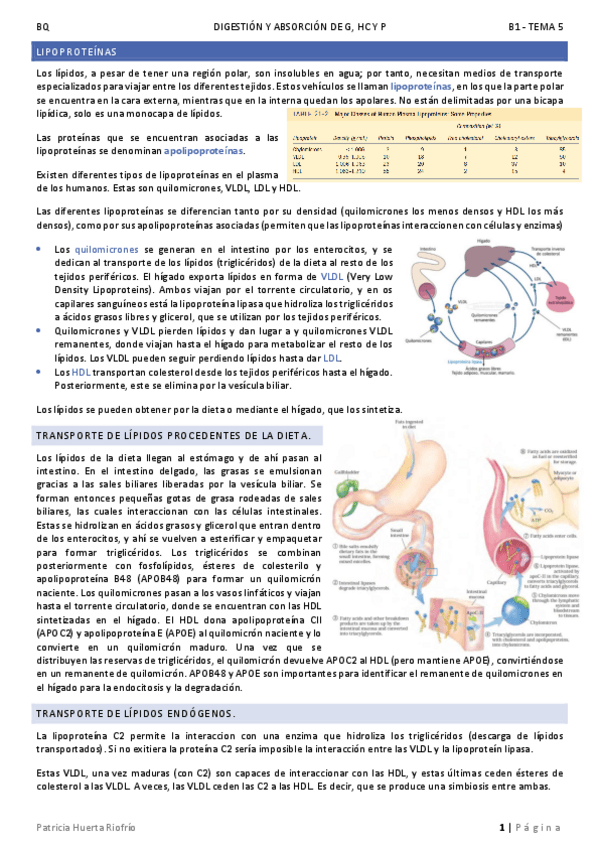 Miniatura del documento T5.pdf
