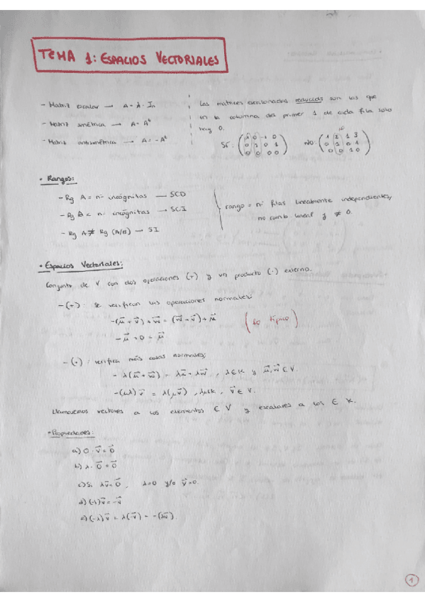 Miniatura del documento TEMA-1.pdf
