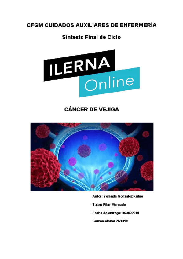 Miniatura del documento 1-TRABAJO-ESCRITO-SINTESIS-CANCER-DE-VEJIGA-1.pdf