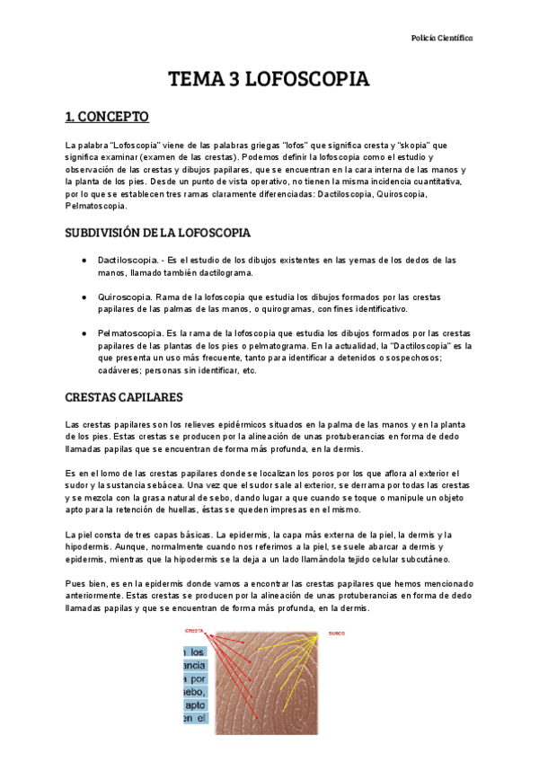 Miniatura del documento TEMA-3-LOFOSCOPIA.pdf