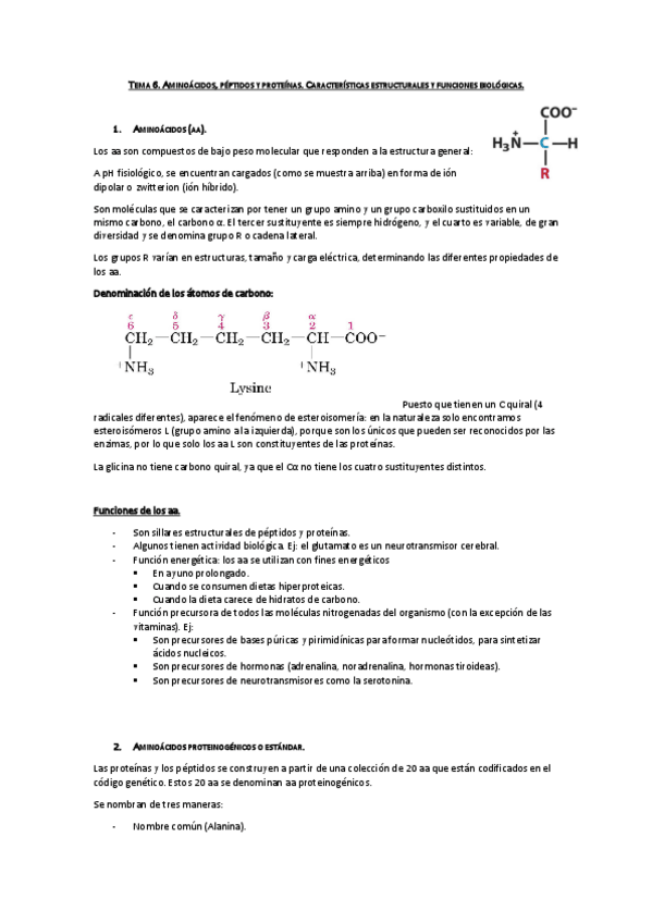 Miniatura del documento Tema 6.Aminoácidos péptidos y proteínas.pdf