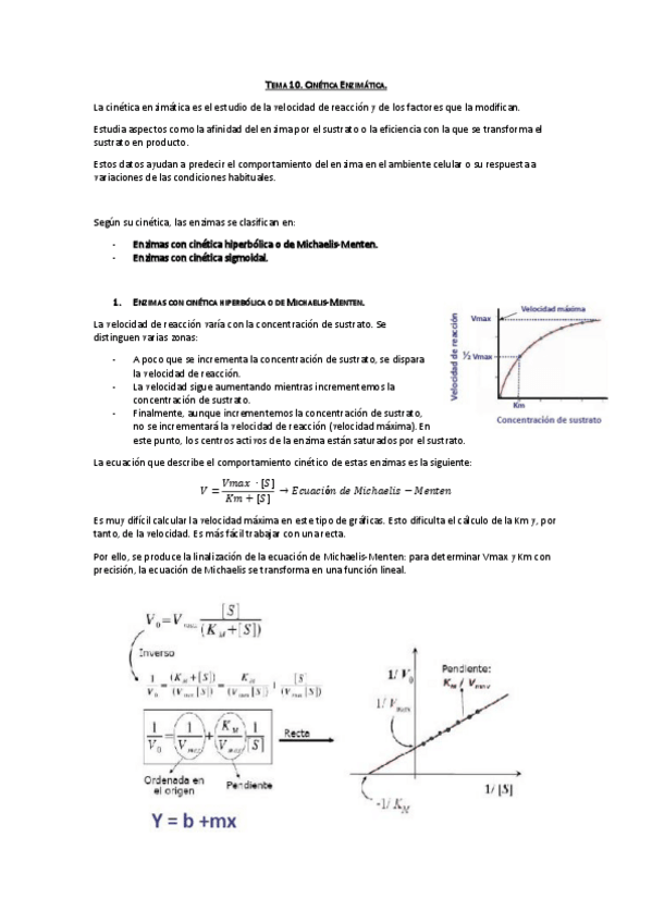 Miniatura del documento Tema 10. CInética Enzimática.pdf