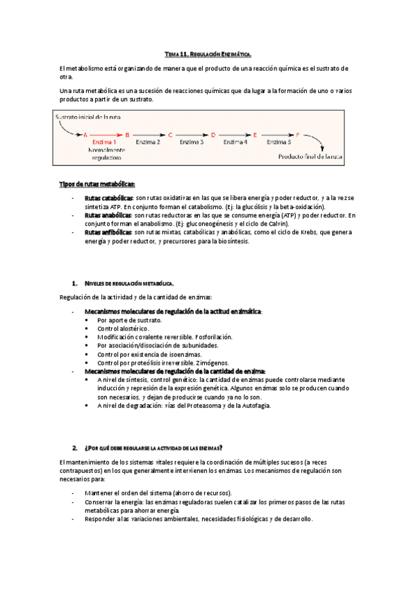 Miniatura del documento Tema 11. Regulación Enzimática.pdf
