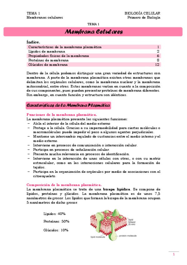 Miniatura del documento TEMA 2. Membranas celulares