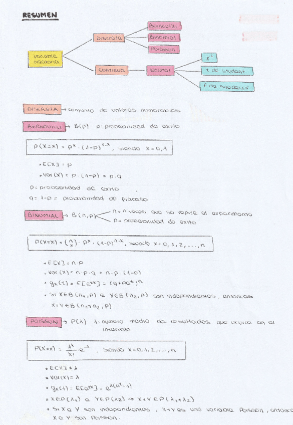Miniatura del documento TEMA-1-MINI-RESUMEN.pdf