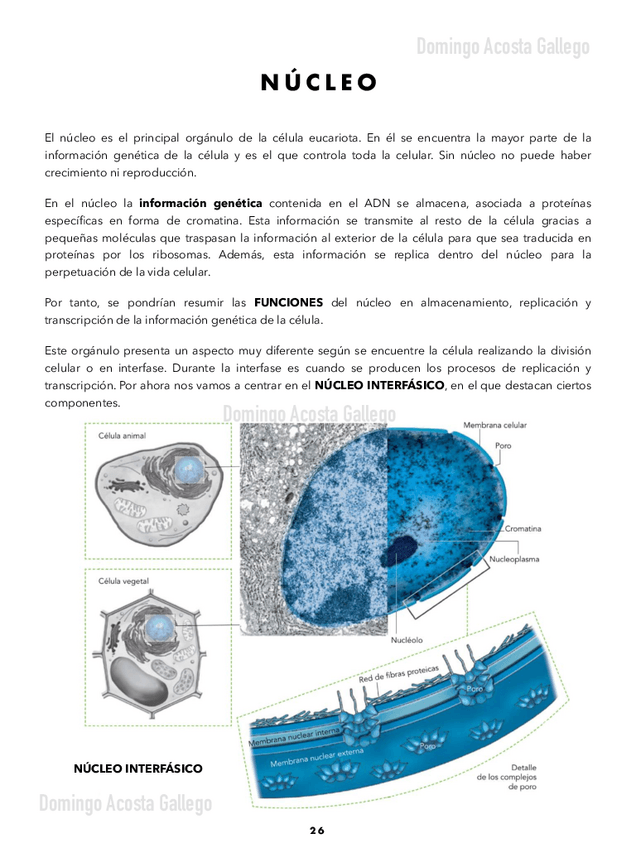 Miniatura del documento 3.pdf