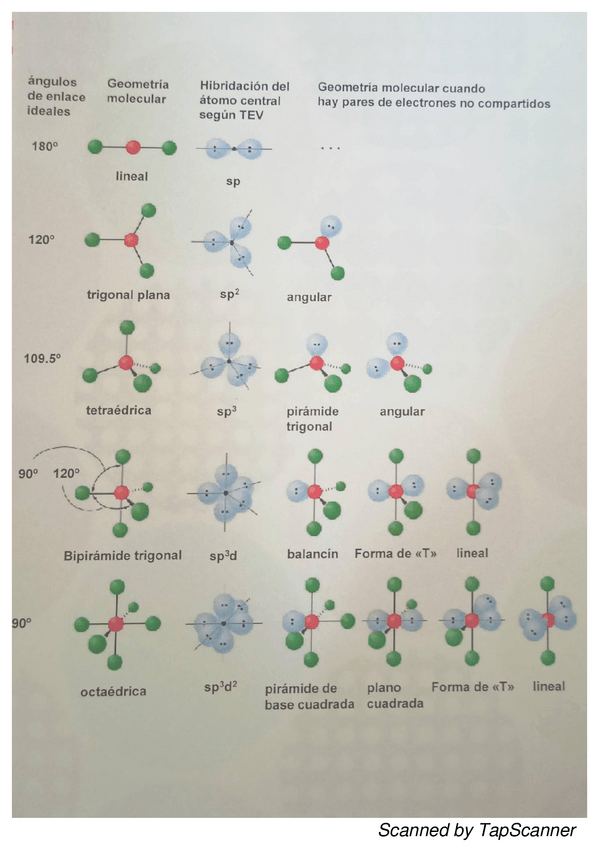 Miniatura del documento Hibridacion-facil-con-dibujos.pdf