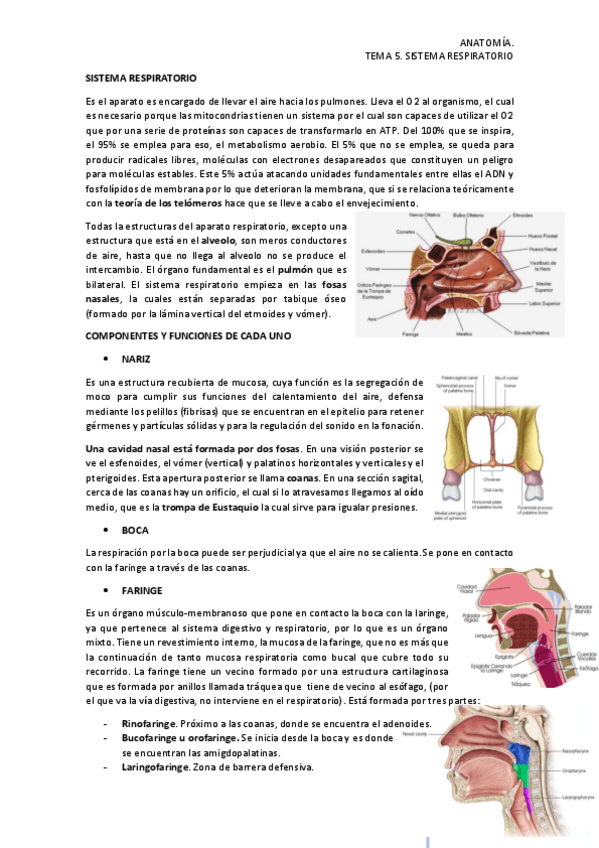 Miniatura del documento TEMA-5.pdf