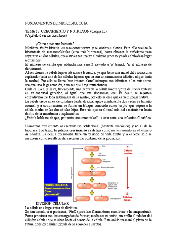 Miniatura del documento Tema 12.pdf
