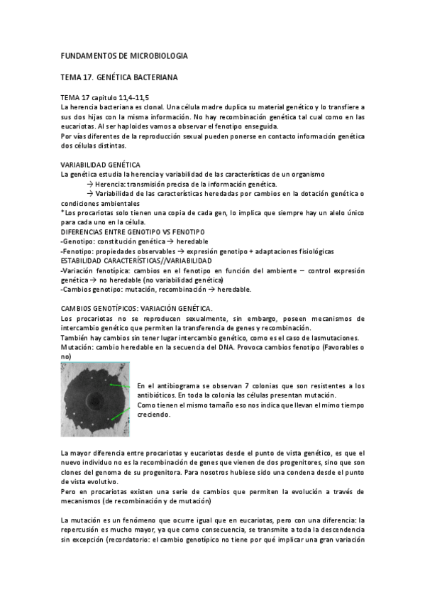 Miniatura del documento Tema 17.pdf