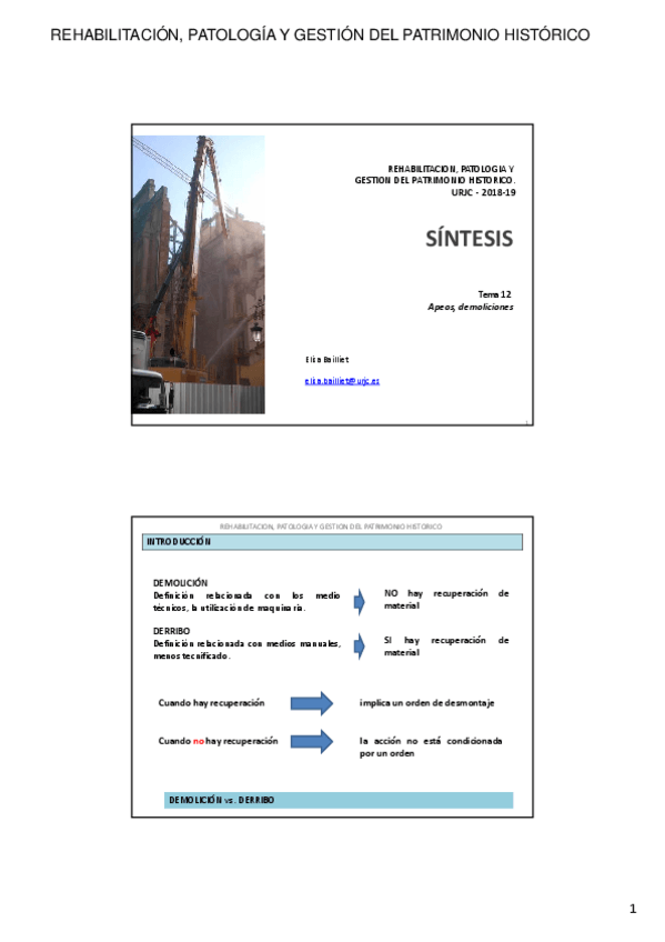 Miniatura del documento 2018-19-REHABILITACION-SINTESIS-TEMA-12.pdf
