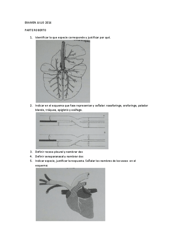 Miniatura del documento EXAMEN-JULIO-2016-parte-roberto.pdf