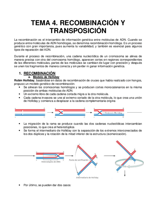 Miniatura del documento 4. RECOMBINACIÓN Y TRANSPOSICIÓN