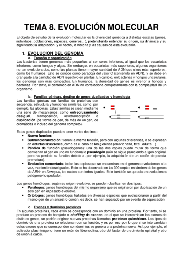 Miniatura del documento 8.EVOLUCIÓN MOLECULAR