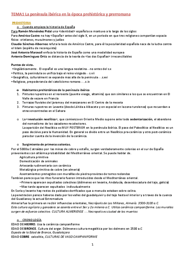 Miniatura del documento APUNTES-ENTEROS-historia.pdf