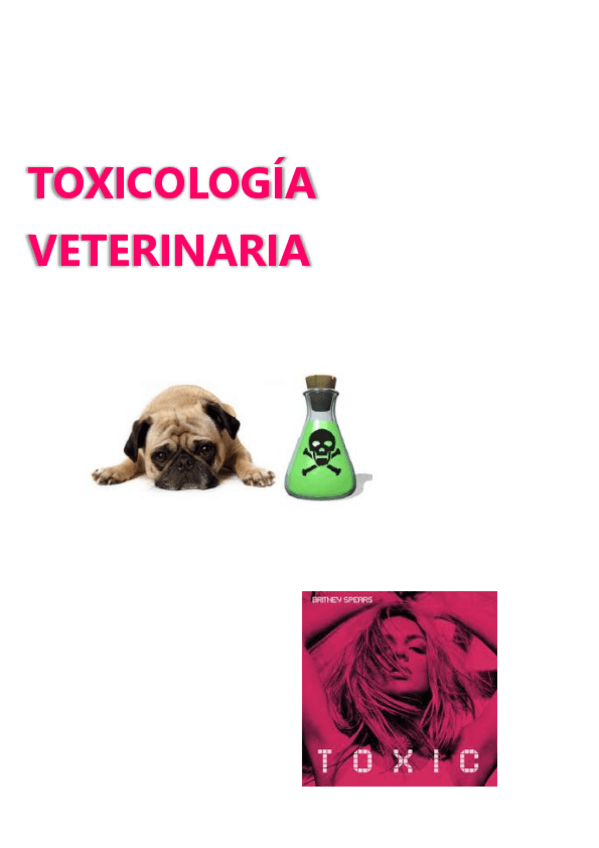 Miniatura del documento TEMA-1.pdf