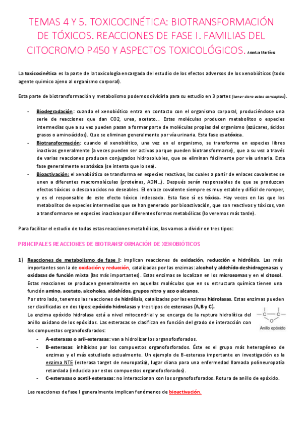 Miniatura del documento Tema-4-y-5.pdf