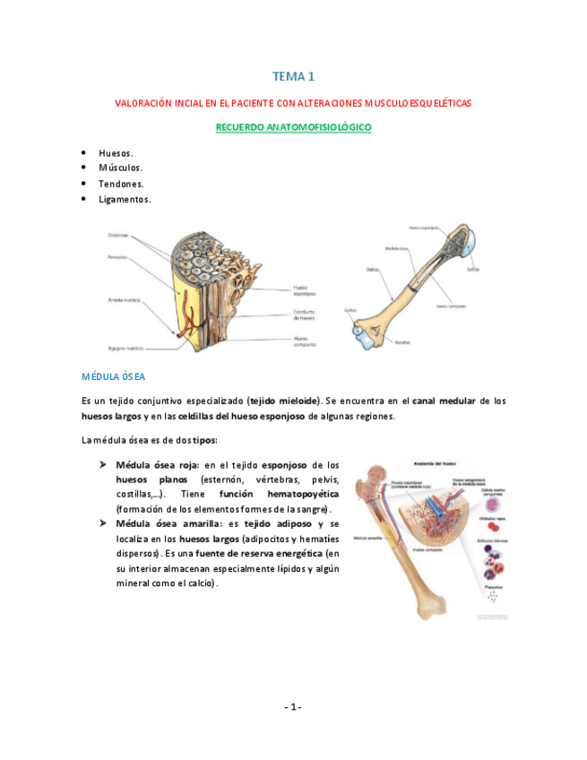 Miniatura del documento Tema-1.pdf