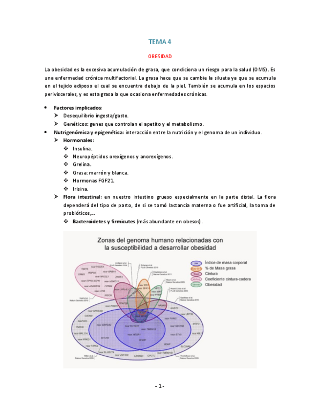 Miniatura del documento Tema-4.pdf