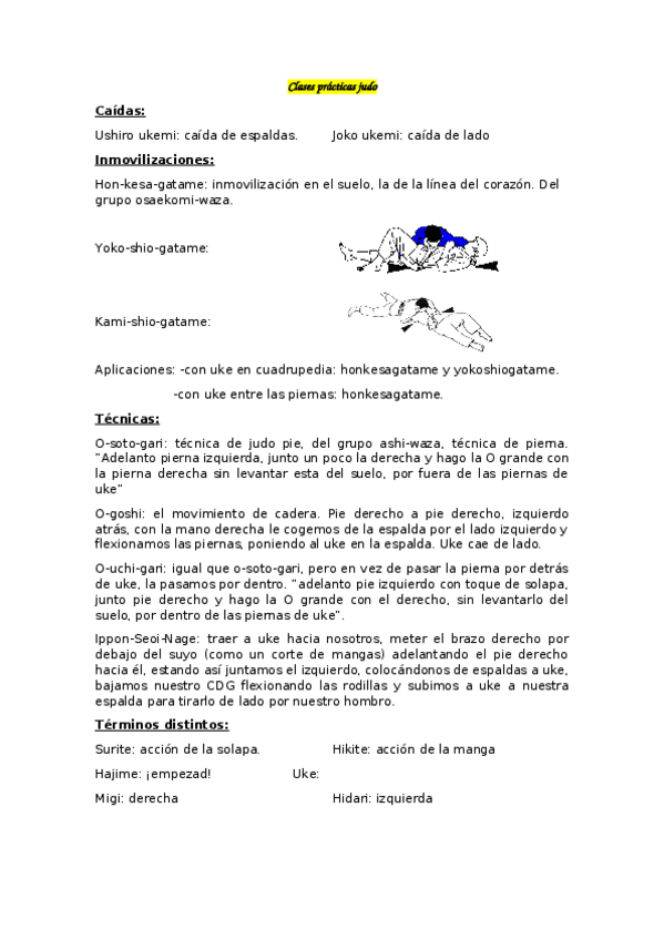 Miniatura del documento Clases-practicas-judo.docx