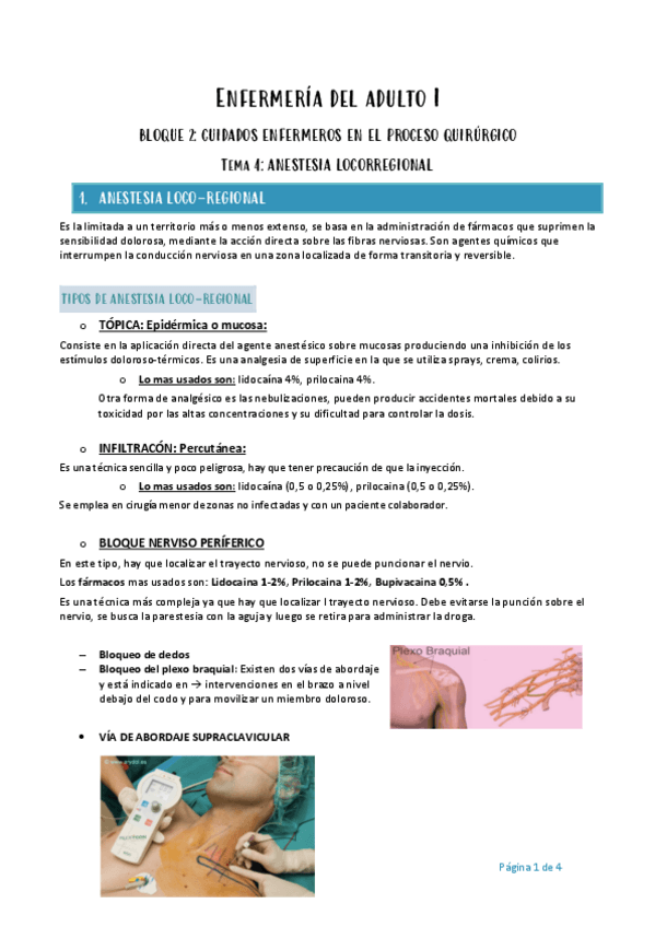 Miniatura del documento Enfermeria-del-adulto-I-tema-4.pdf